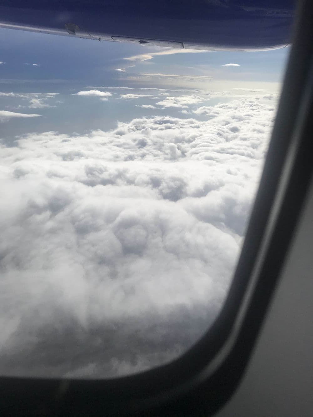 Flight