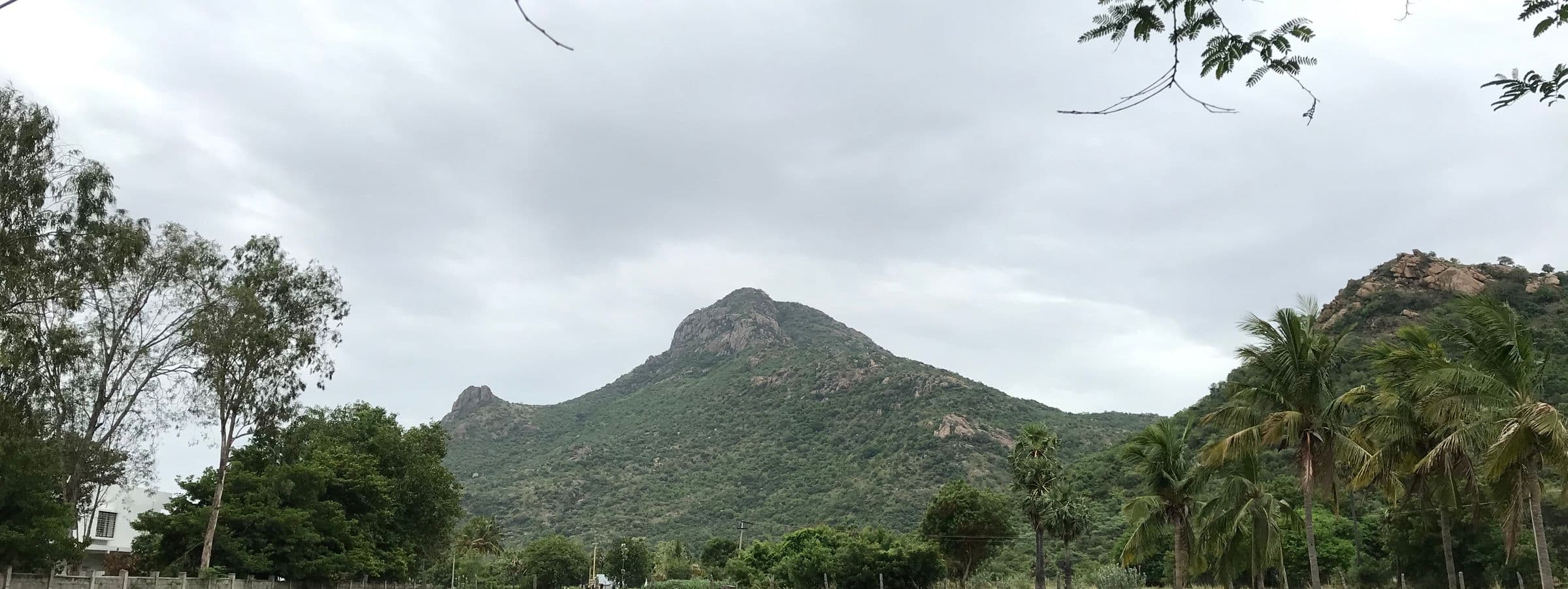 Arunachala Hill